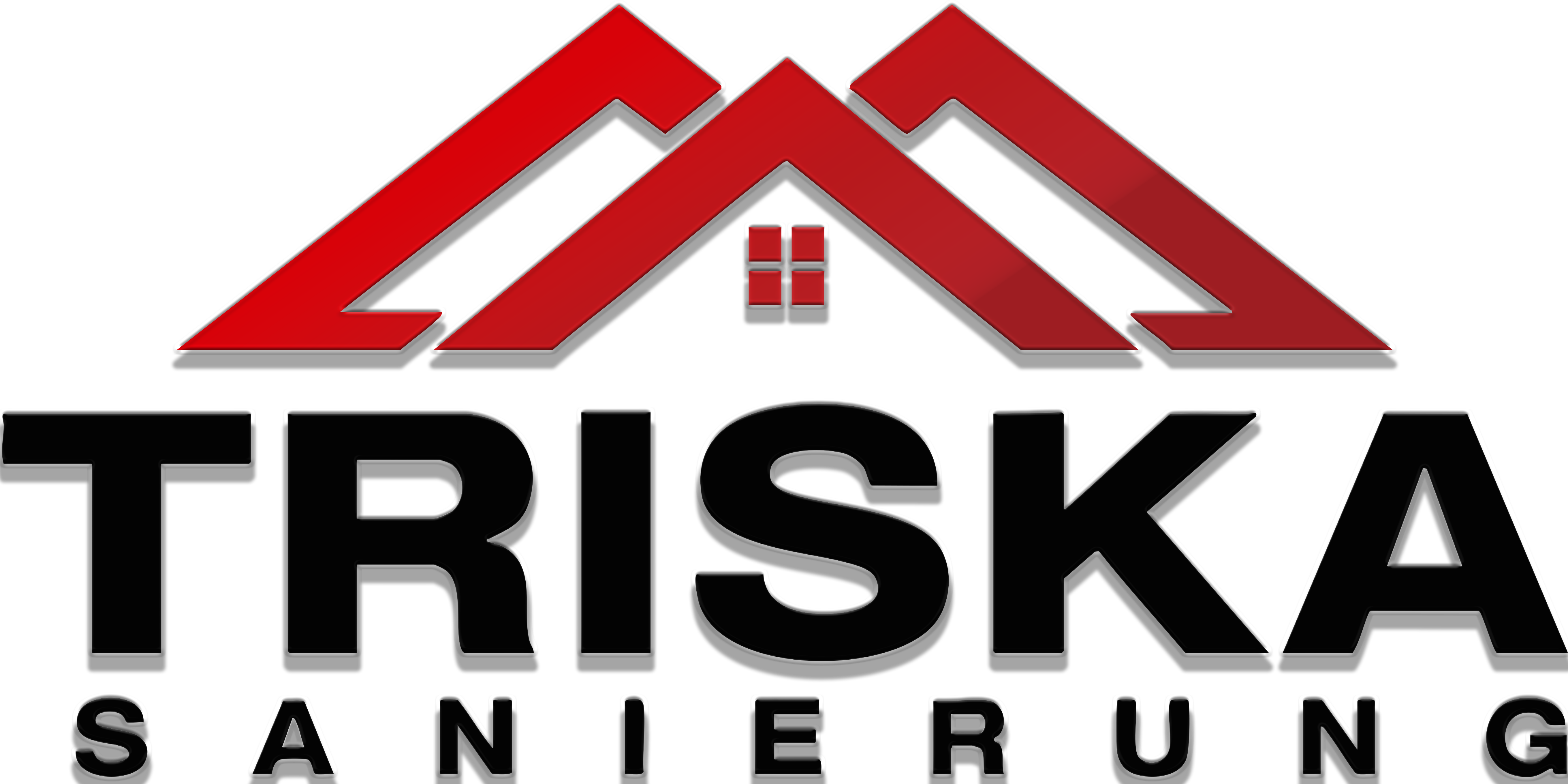 Logo Triska Dachsanierung